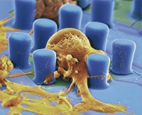 /album/fotogaleria/nanotechnologie-jpg1/